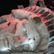 Illustration for article titled J.J. Abrams supposedly producing actual Cloverfield sequel, for once